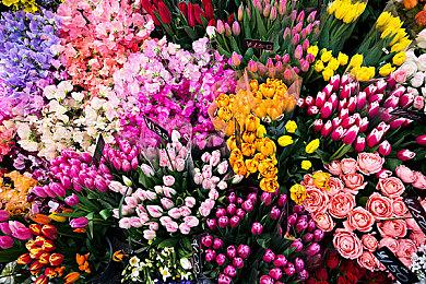 基建模拟《吸血鬼氏族》7分钟演示 踏入19世纪巴黎